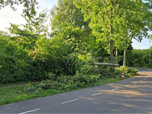 NOC-Poly- Stormschade in de wijk De Gors